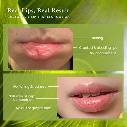 Moisturising Lip Balm