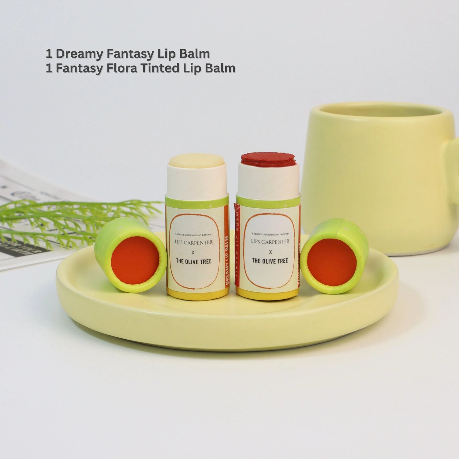 Vegan Lip Duo Gift Set